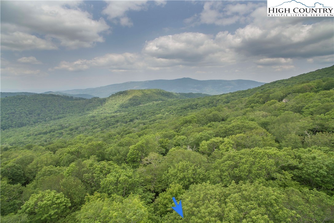 75 Green Cliffs Road Sugar Mountain, NC 28604 - Photo 9 of 12