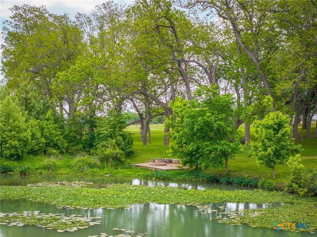 114 River Ranch Circle Martindale, TX 78655 - Photo 13 of 17 a view of a garden with a lake