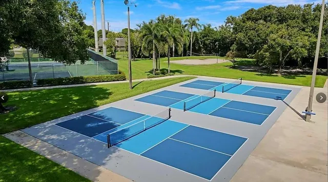 an aerial view of residential houses with outdoor space and swimming pool