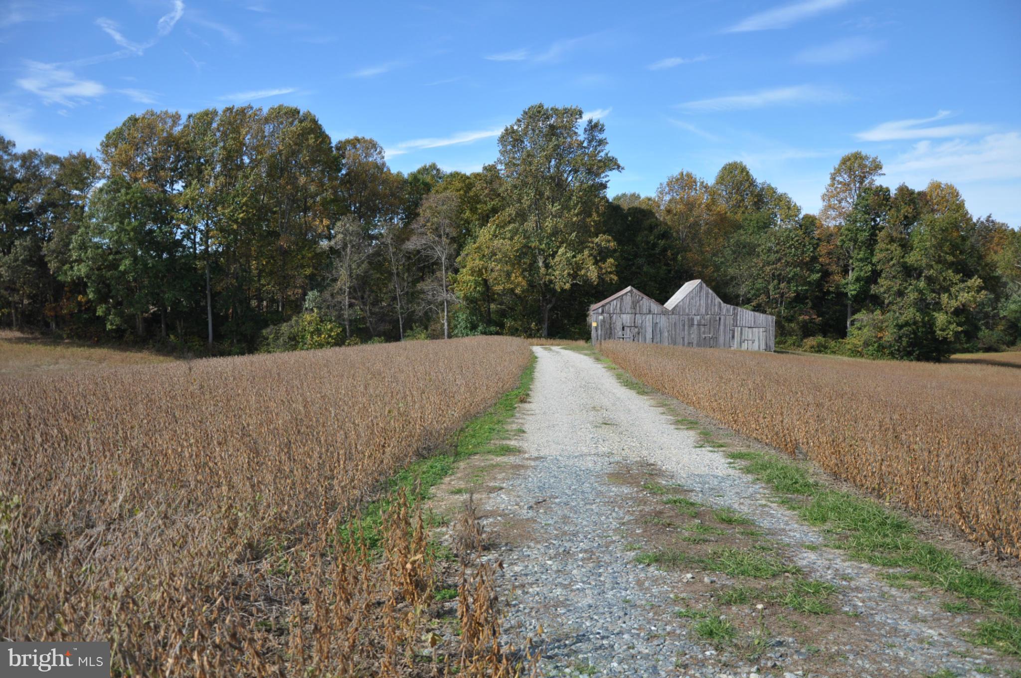 470 West Bay Front Road Lothian, MD 20711 - Photo 24 of 29 Exterior (General)