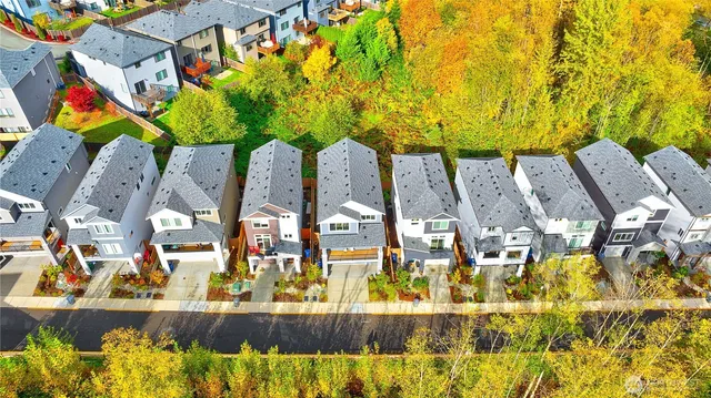 wooden floor in a livingroom
