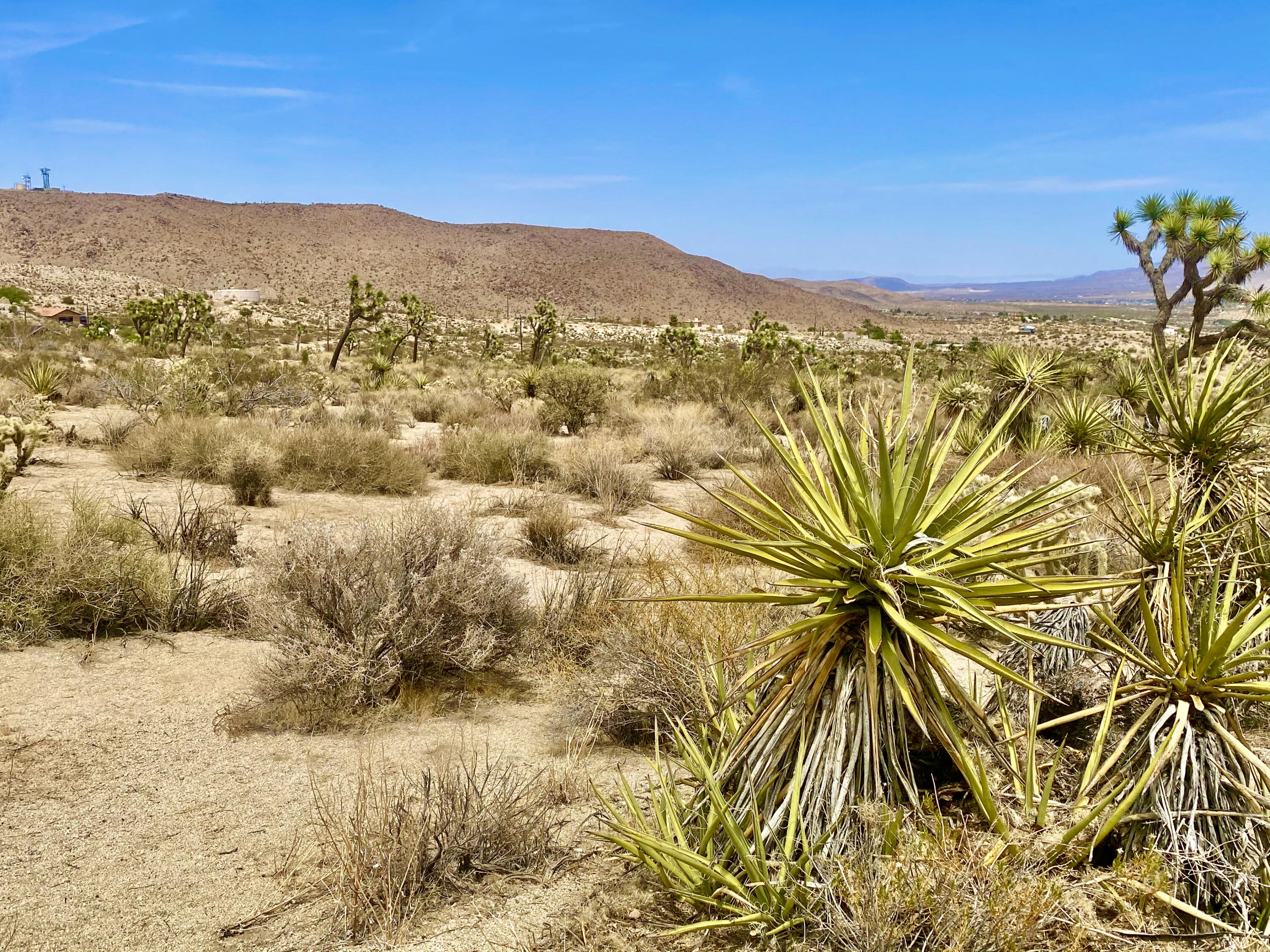 104 Bandera Road Yucca Valley, CA 92284 - Photo 13 of 48 IMG_3504