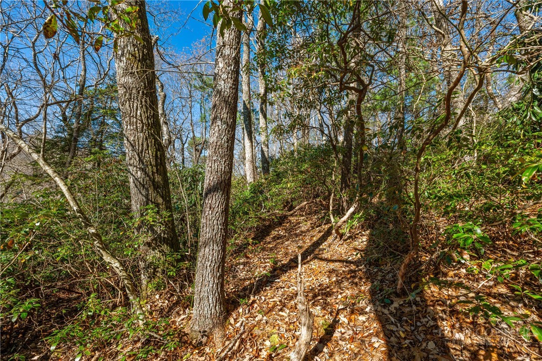 Lot 61 Boone Coffey Trail Boone, NC 28607 - Photo 10 of 22
