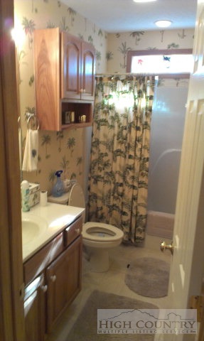 706 Pine Ridge Road Beech Mountain, NC 28604 - Photo 3 of 16 a bathroom with a sink and a mirror
