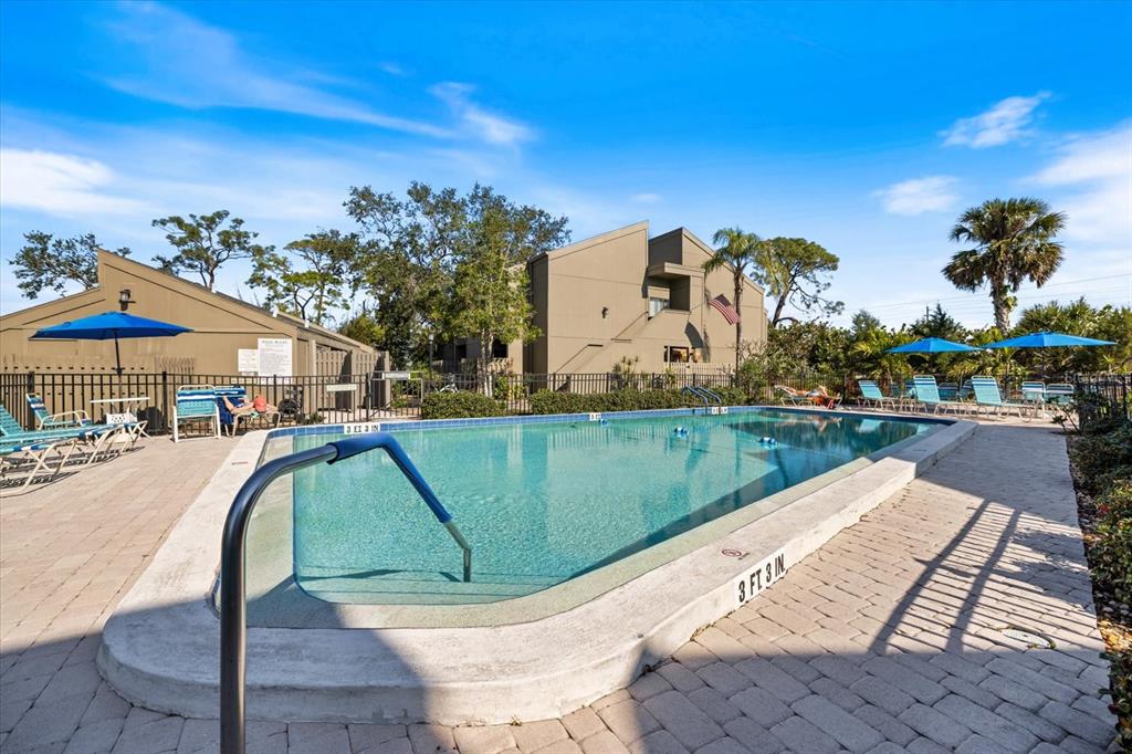 447 Oak Point Road Osprey, FL 34229 - Photo 89 of 99 a view of swimming pool with a yard