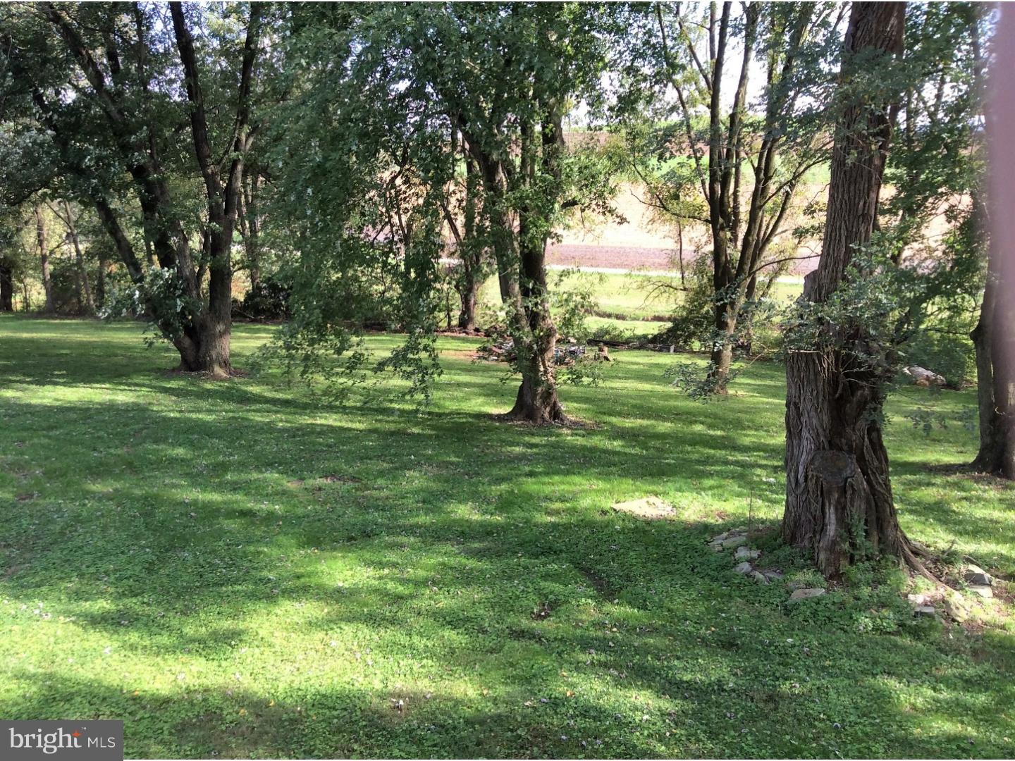 378 Street Road Oxford, PA 19363 - Photo 21 of 25 Side Yard