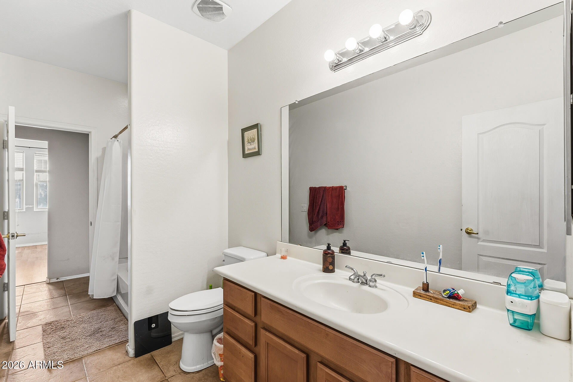 6718 West Darrel Road Laveen, AZ 85339 - Photo 21 of 49 a bathroom with a sink a toilet and a mirror