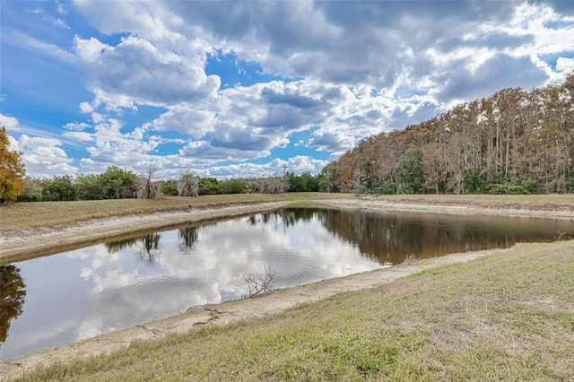 a view of a yard in front of a house