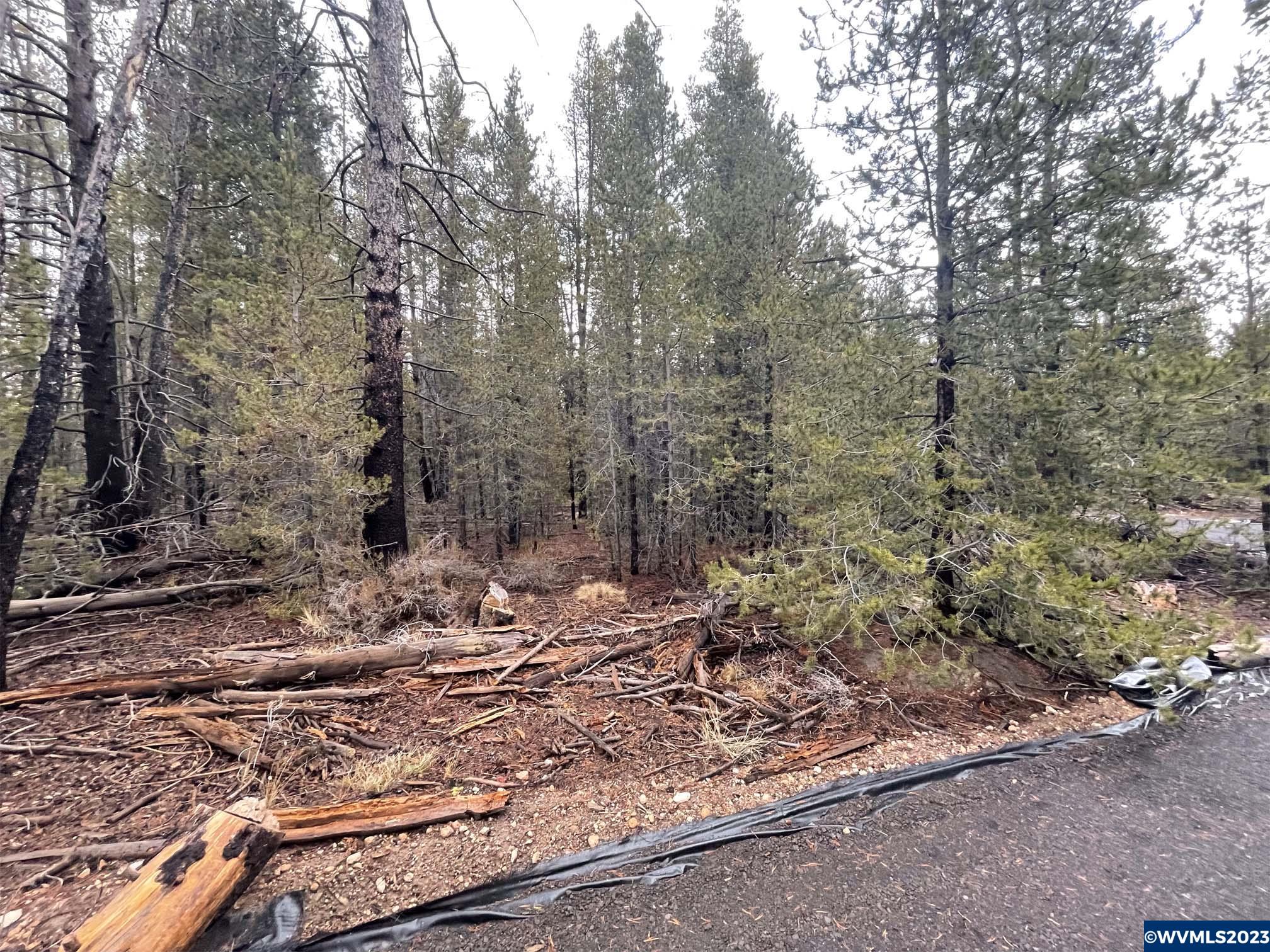 500 Cloudcap Drive Chiloquin, OR 97624 - Photo 13 of 23