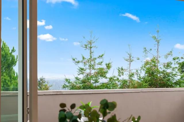a living room with furniture kitchen view and a potted plant