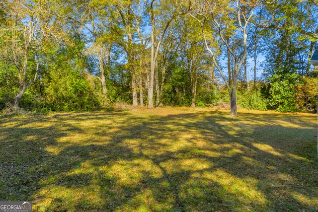 a view of dirt field with trees
