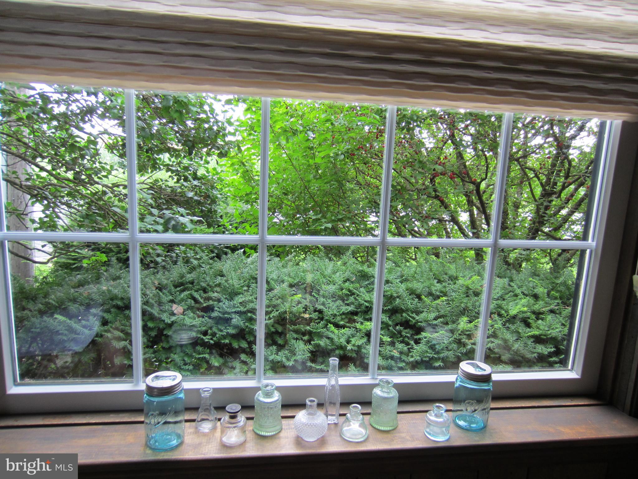 3654 Blue Rock Road Lancaster, PA 17603 - Photo 17 of 32 Closeup of front window - lots of natural light!