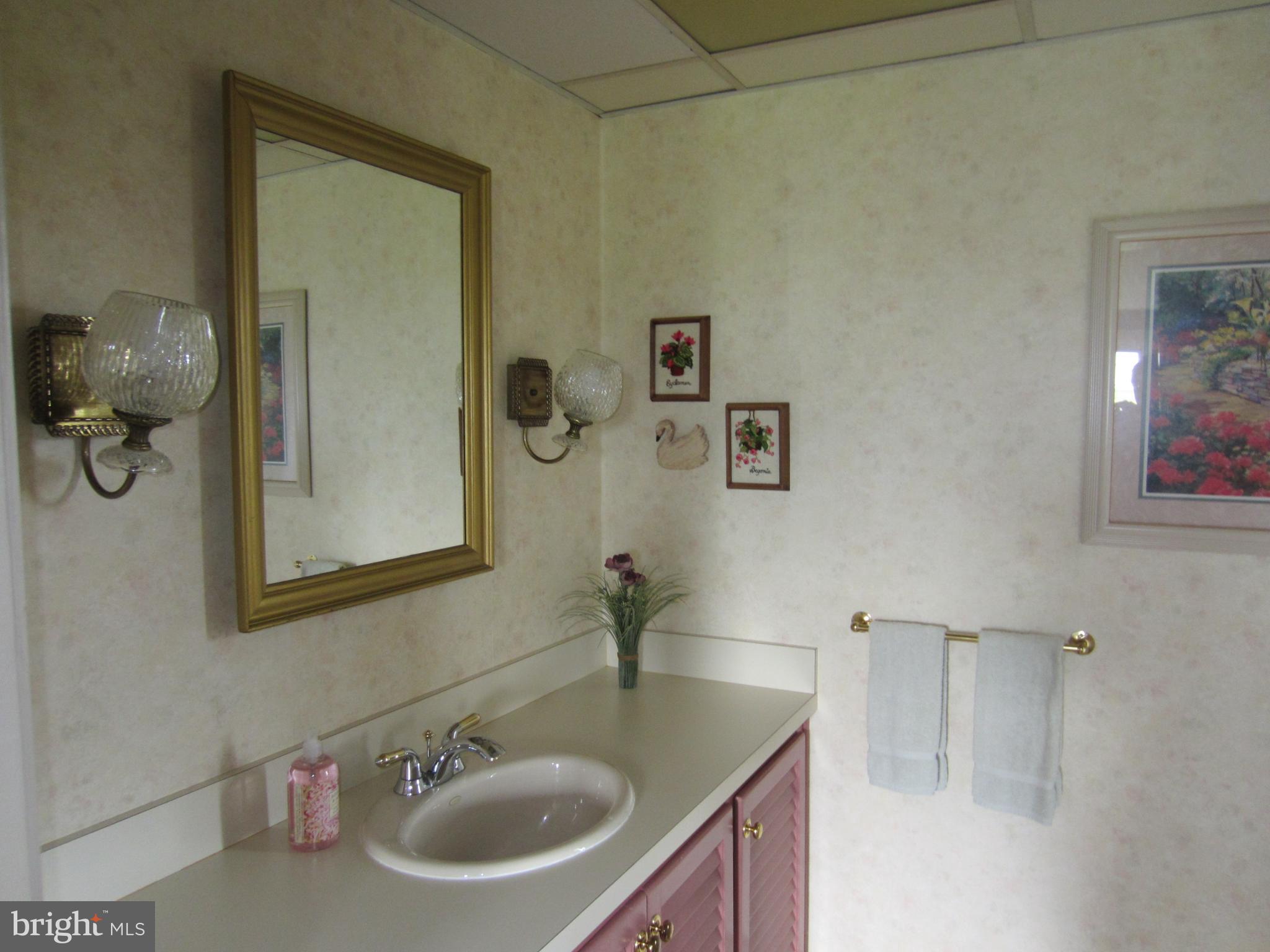 3654 Blue Rock Road Lancaster, PA 17603 - Photo 22 of 32 Full bathroom is lovely; was once a balcony...