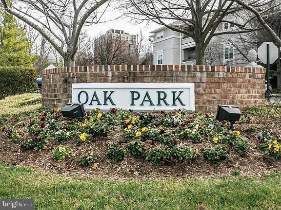 Beautiful Oak Park - Across from the Town Center