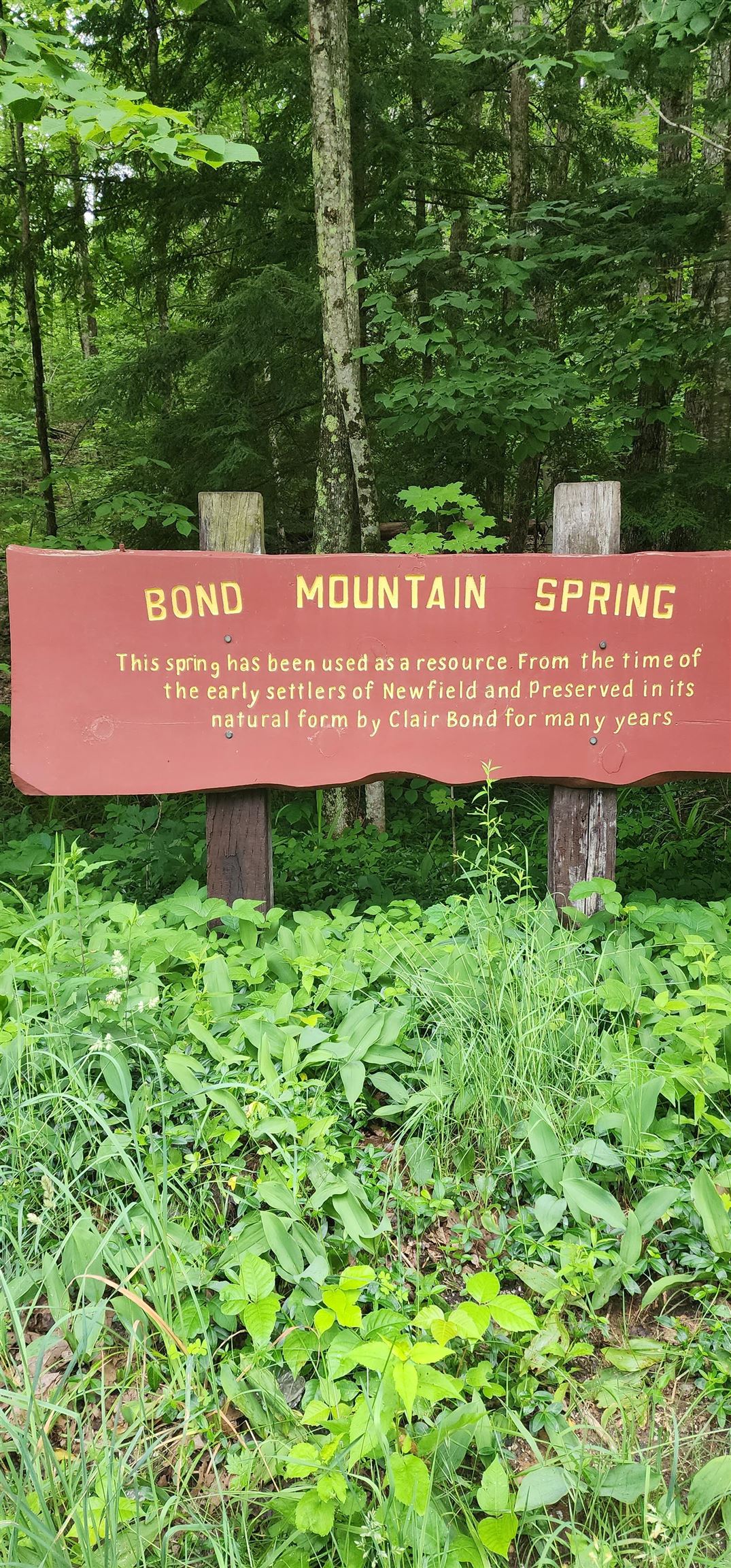 Tbd Bond Spring Road, Unit LOT 2 West Newfield, ME 04095 - Photo 10 of 12