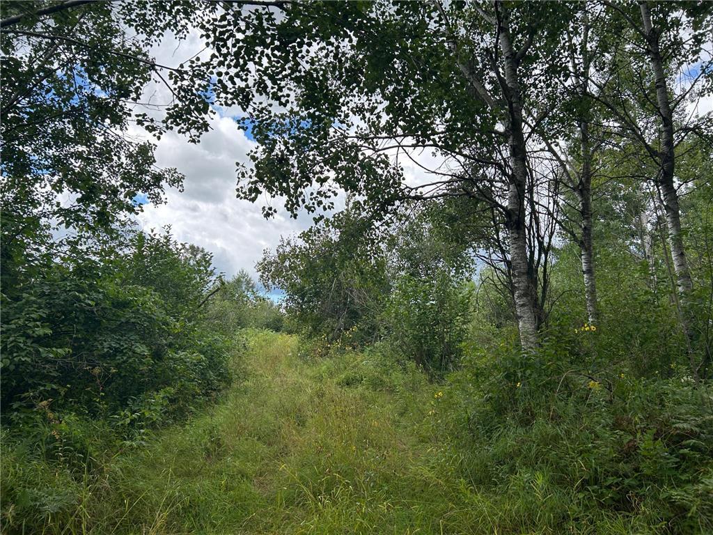 Tbd2 Duncan Road Sandstone, MN 55072 - Photo 5 of 16