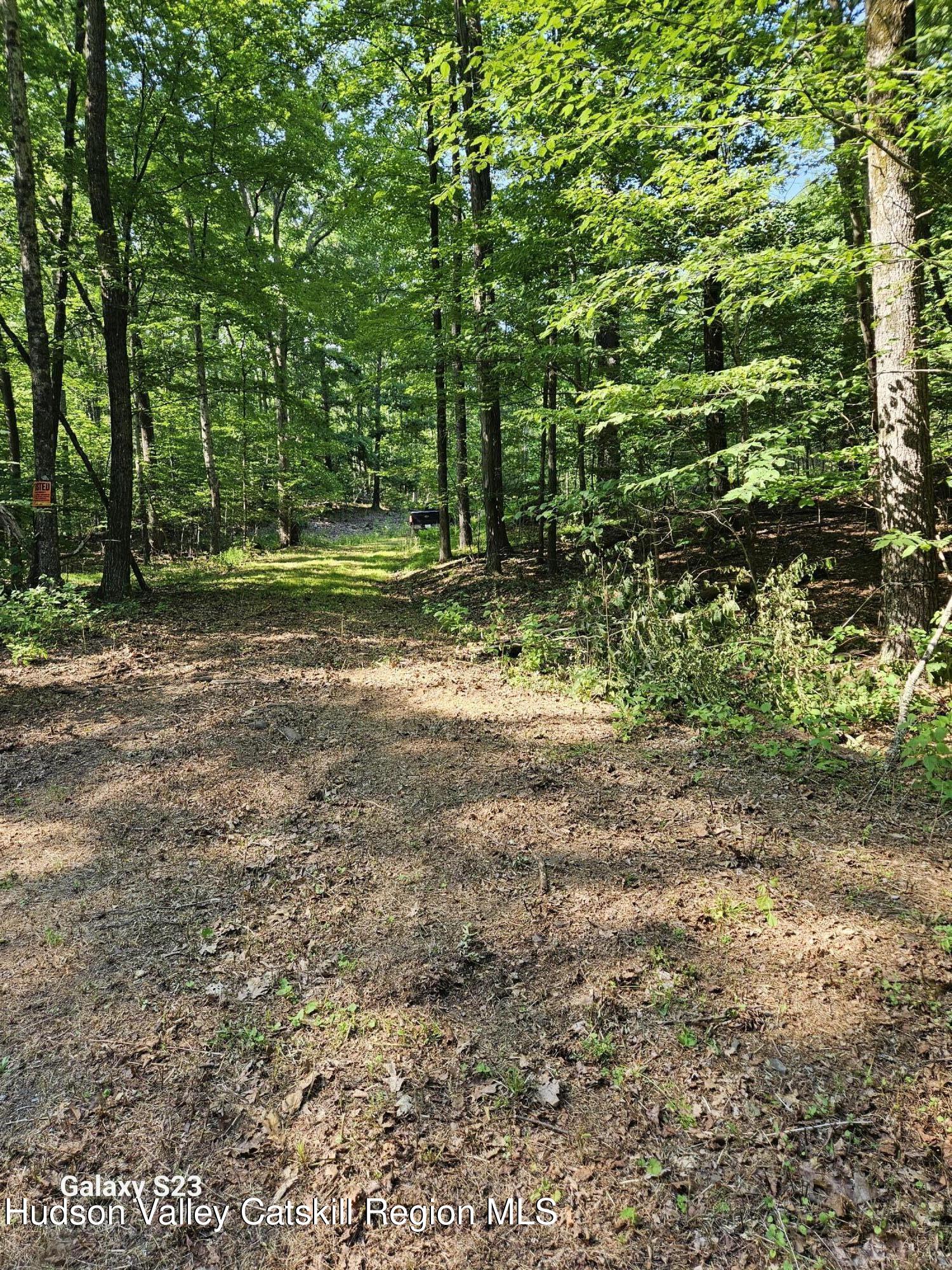 0 Hearts Content Road Catskill, NY 12414 - Photo 14 of 21 20260711_164957