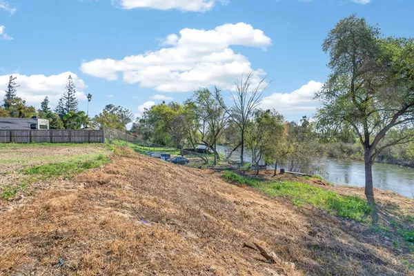 a view of a yard with large trees