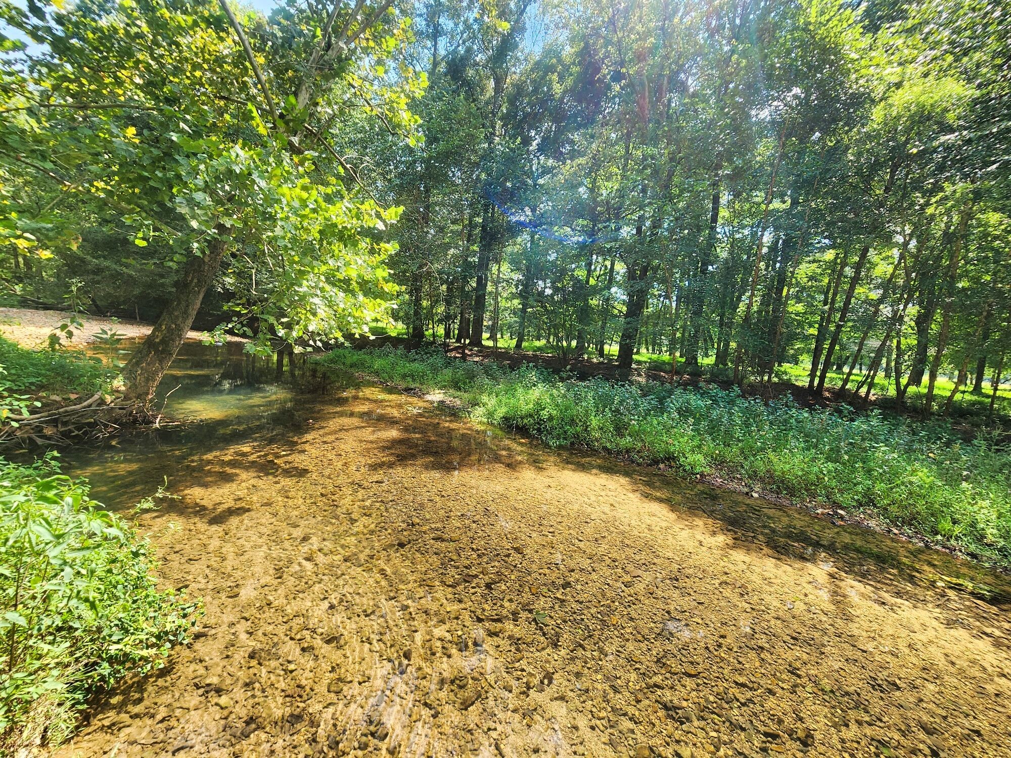 8312 Middle Butler Road Cypress Inn, TN 38452 - Photo 39 of 53