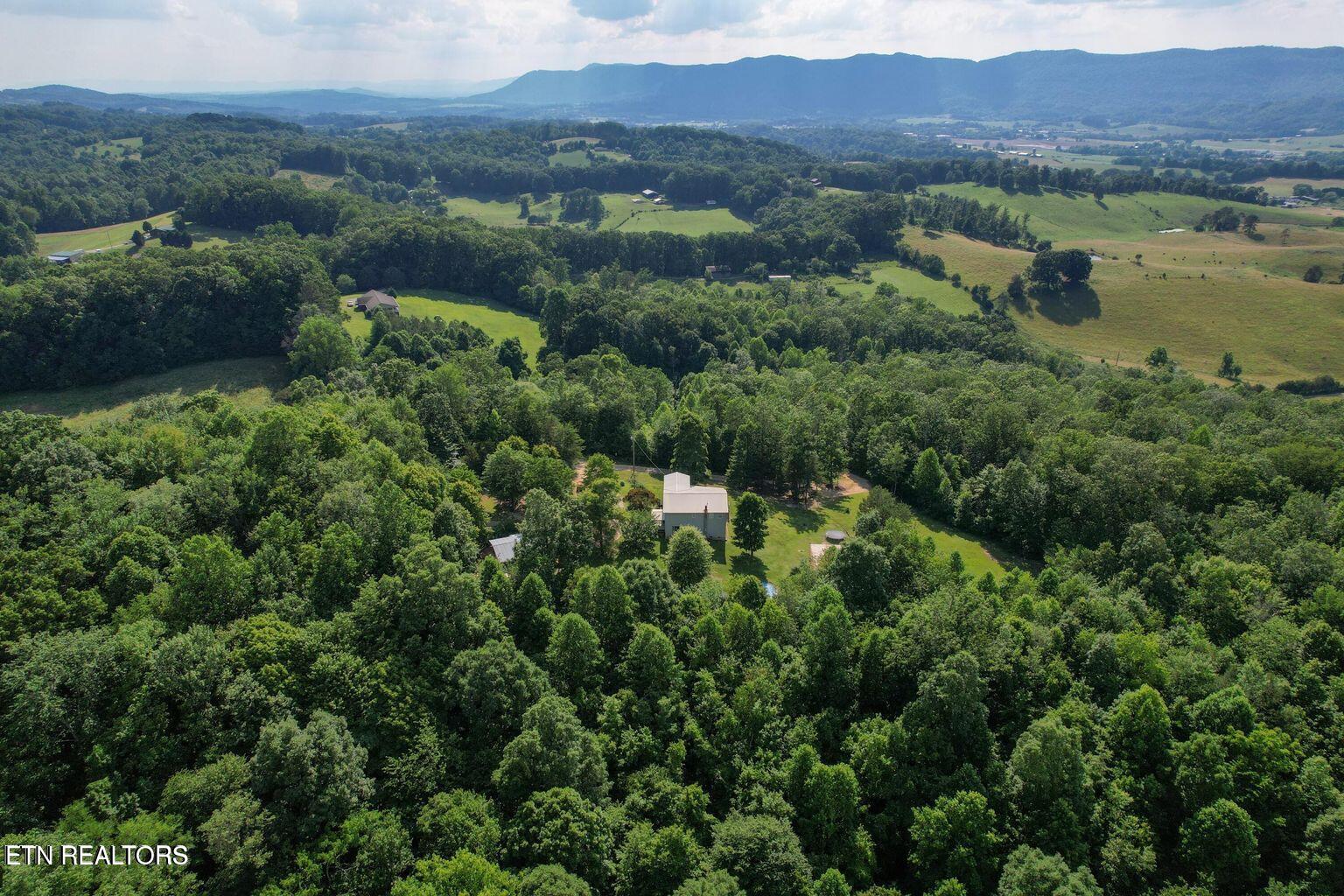 529 Hunley Road Speedwell, TN 37870 - Photo 23 of 26 arielhunley4