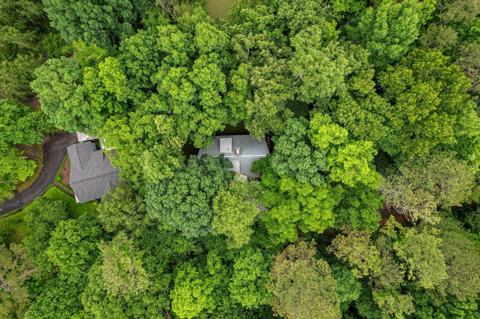 5036 Jackson Road Apison, TN 37302 - Photo 51 of 55 47-5306 Jackson Rd-46