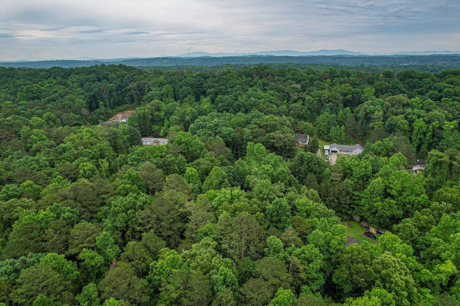 5036 Jackson Road Apison, TN 37302 - Photo 53 of 55 49-5306 Jackson Rd-48