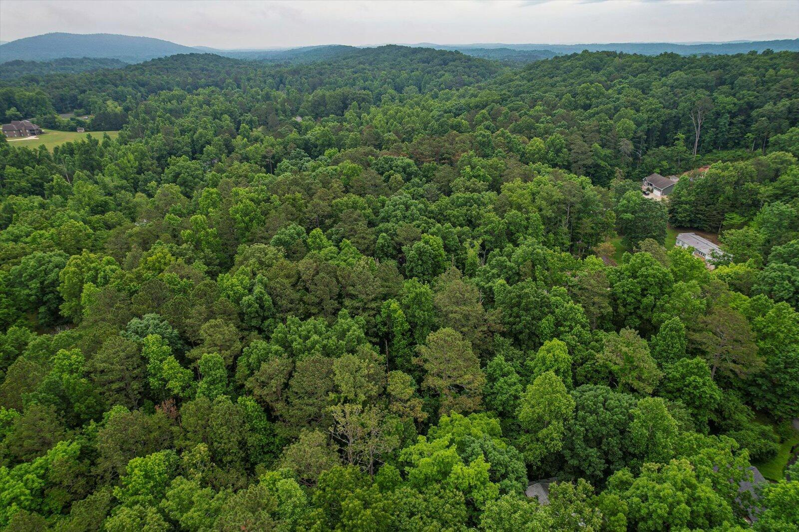 5036 Jackson Road Apison, TN 37302 - Photo 54 of 55 50-5306 Jackson Rd-49