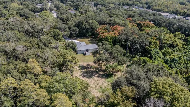 a view of a yard next to a yard