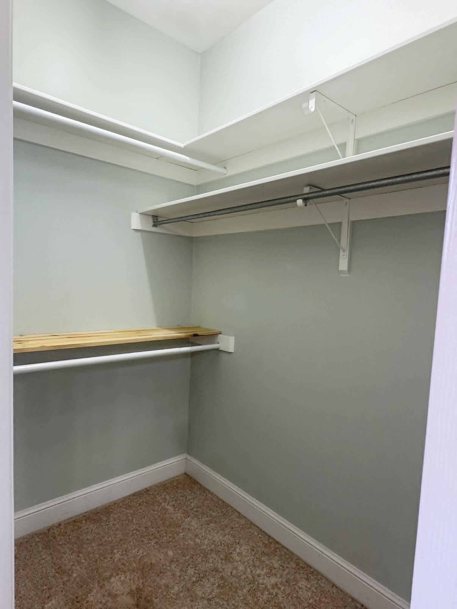 37 Crownpointe Cove Jackson, TN 38305 - Photo 20 of 39 Walk-in closet featuring light grey walls, white trim, and light brown carpeting