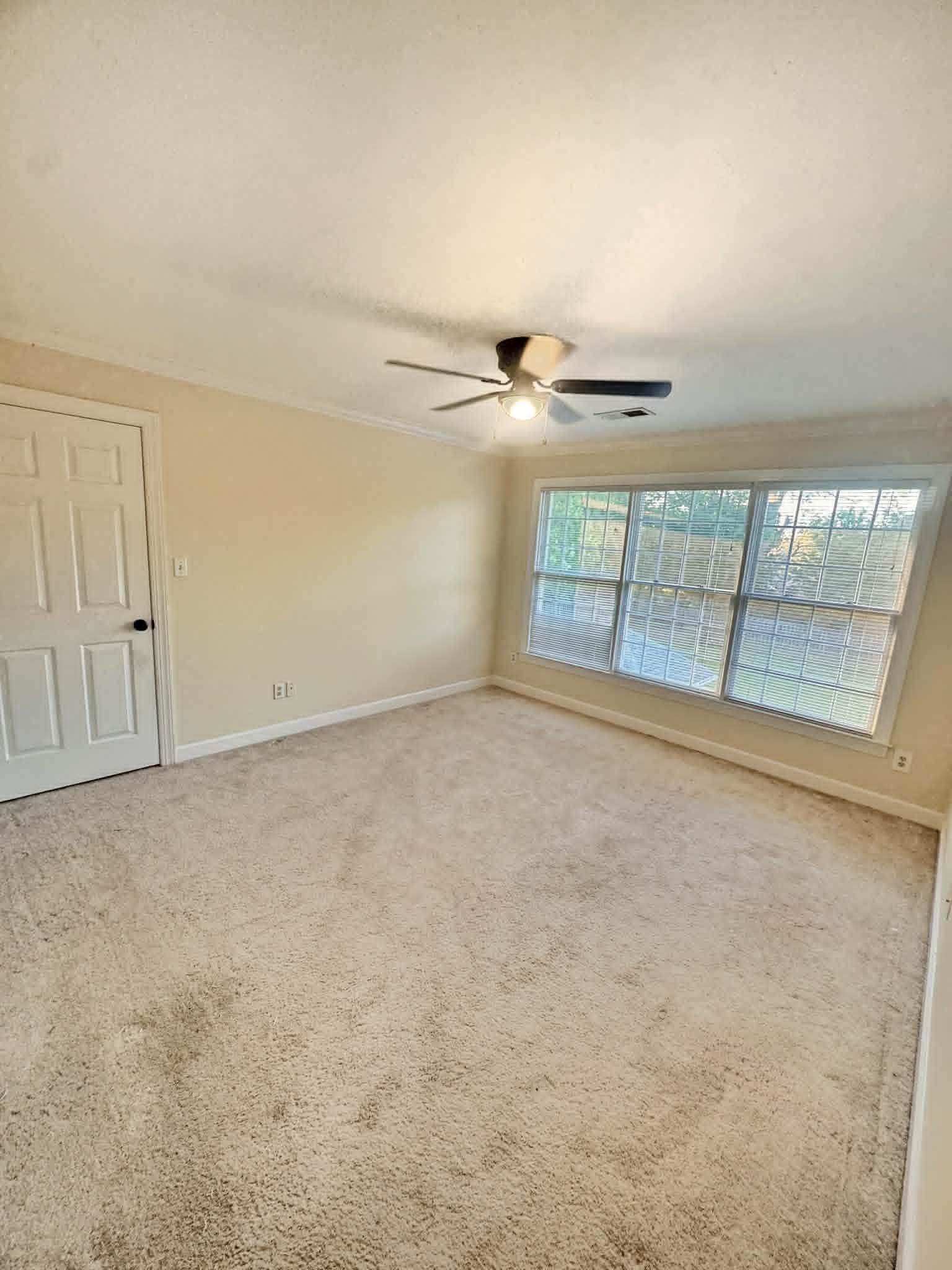 37 Crownpointe Cove Jackson, TN 38305 - Photo 28 of 39 Spacious room featuring neutral carpeting, a multi-pane window, and a ceiling fan with integrated lighting