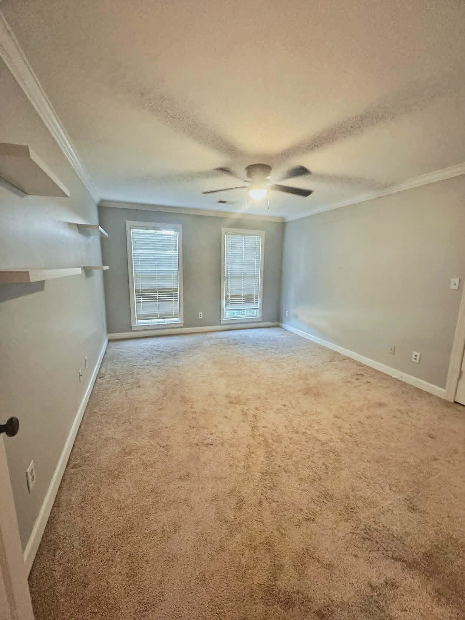 37 Crownpointe Cove Jackson, TN 38305 - Photo 30 of 39 Spacious room featuring neutral carpeting, light gray wall paint, and white crown molding