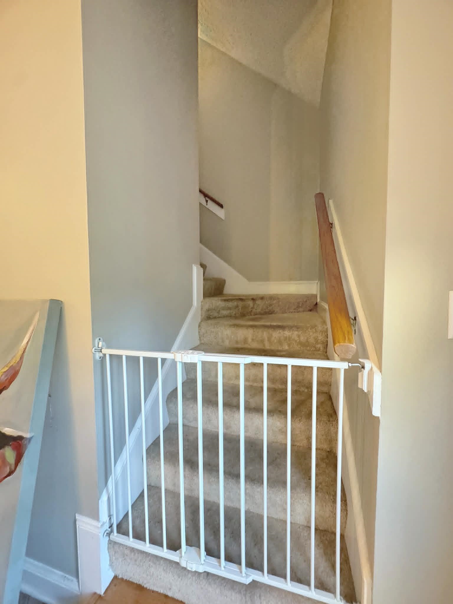 37 Crownpointe Cove Jackson, TN 38305 - Photo 32 of 39 Staircase featuring carpeted treads, white risers, and a wooden handrail