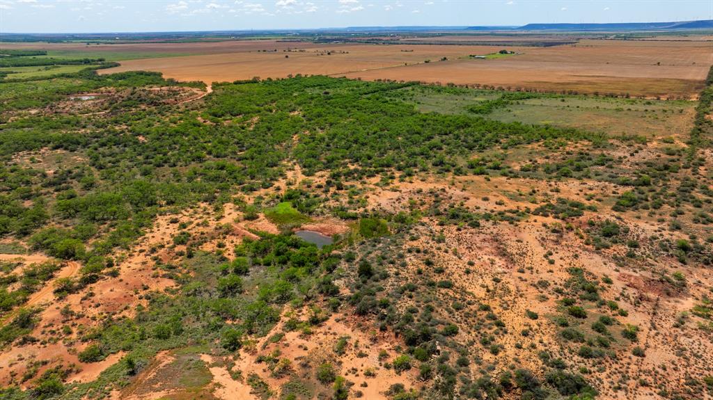 179 County Road Trent, TX 79561 - Photo 16 of 28