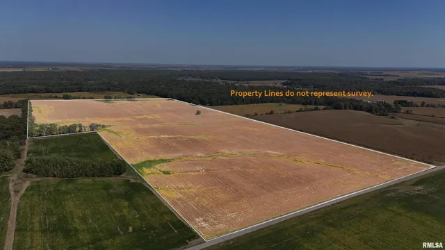 $799,000 | S Tallowtree Drive, Xenia, IL 62899