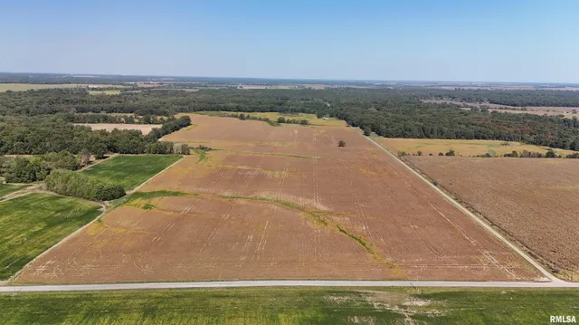 $799,000 | S Tallowtree Drive, Xenia, IL 62899