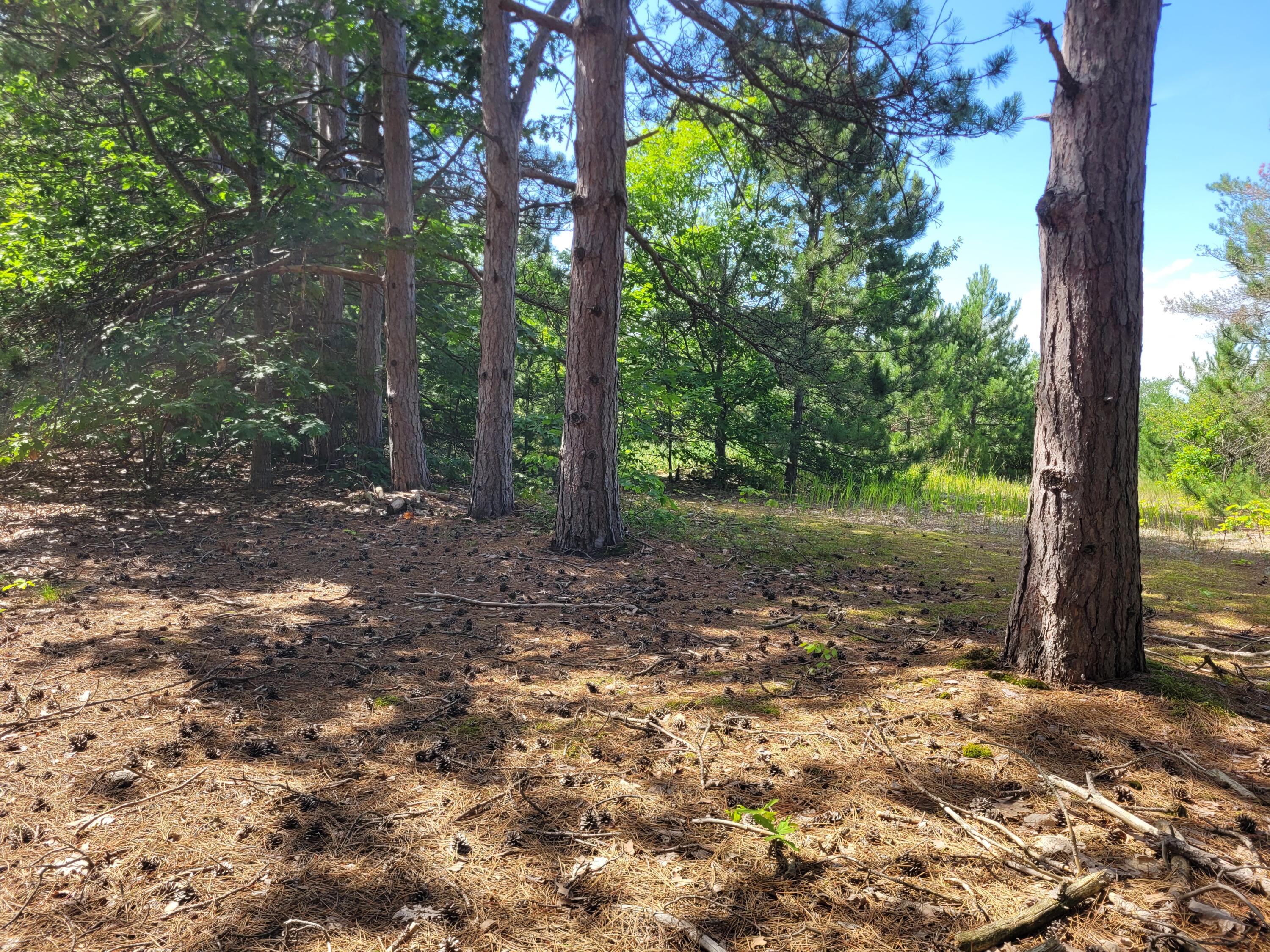 Bonter Court Cheboygan, MI 49721 - Photo 6 of 17 Gallery Image 6