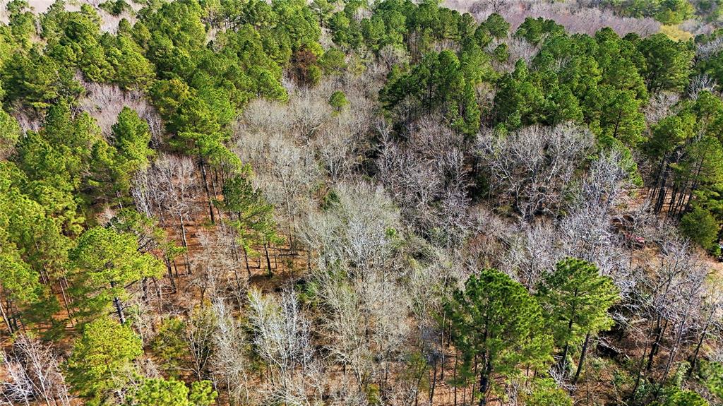 4122 County Road 4122 Road Lindale, TX 75771 - Photo 6 of 6