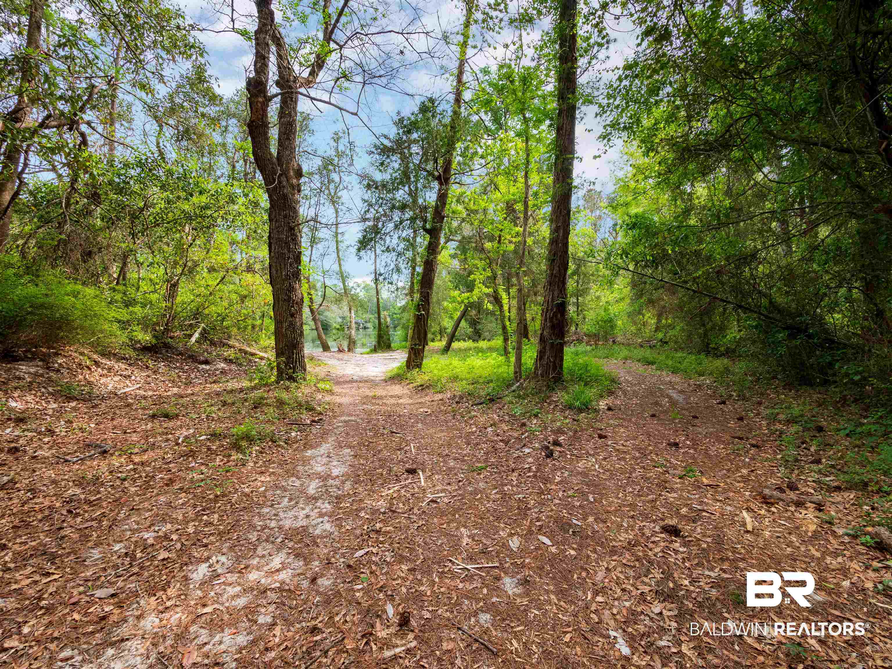 12831 Clay City Road Fairhope, AL 36532 - Photo 42 of 47