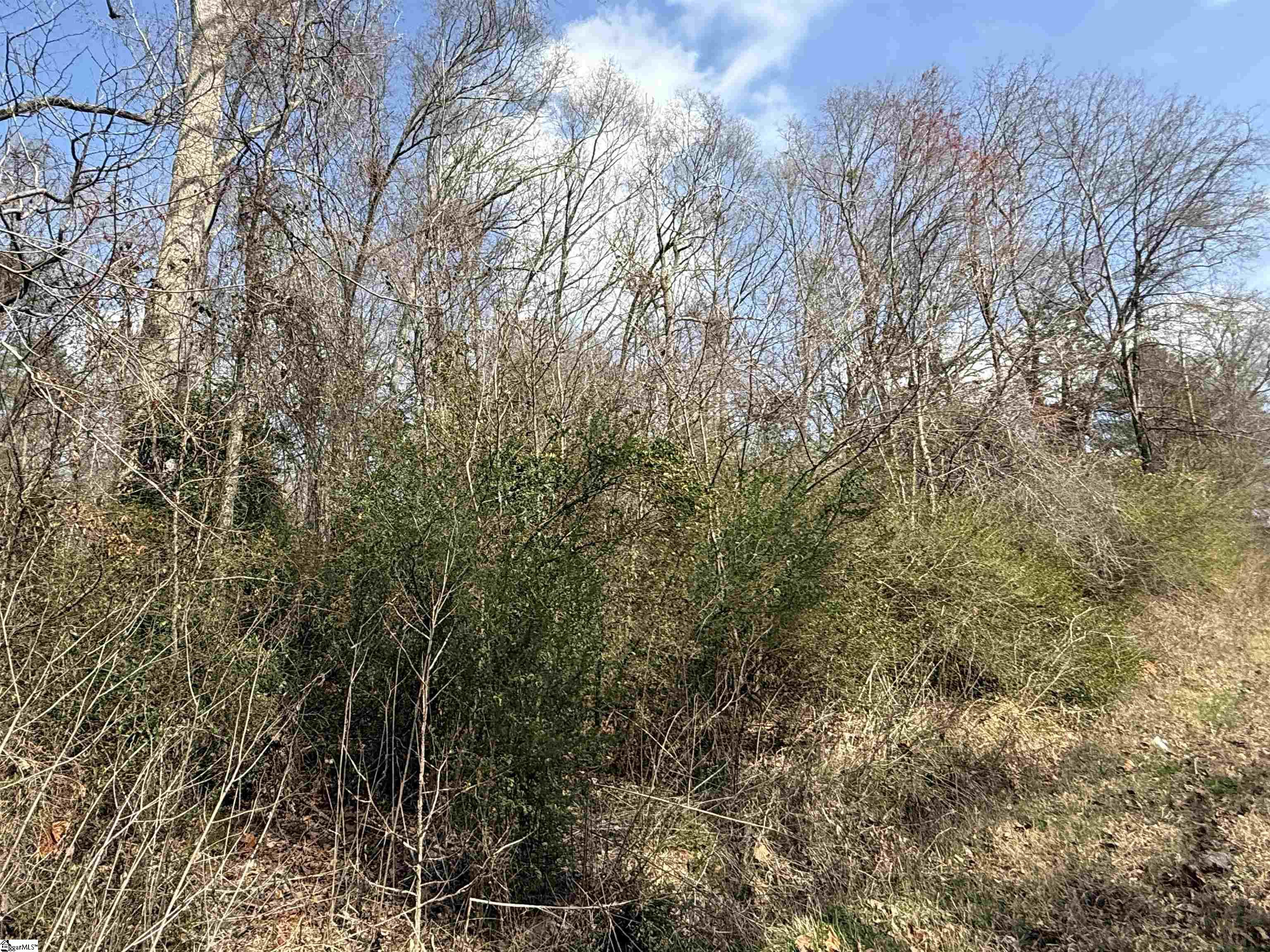 0 McCall Road Greenville, SC 29607 - Photo 2 of 5