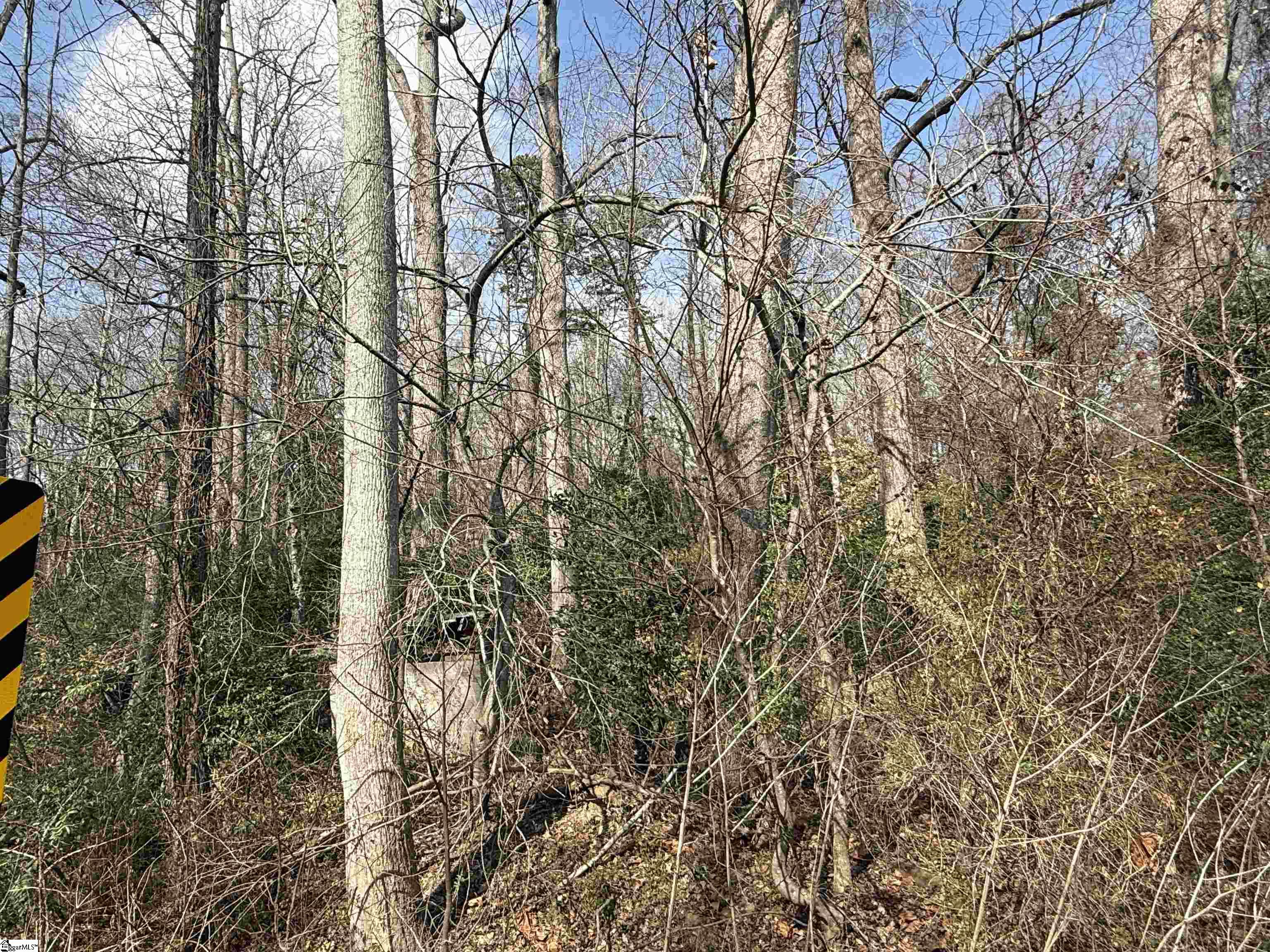 0 McCall Road Greenville, SC 29607 - Photo 3 of 5