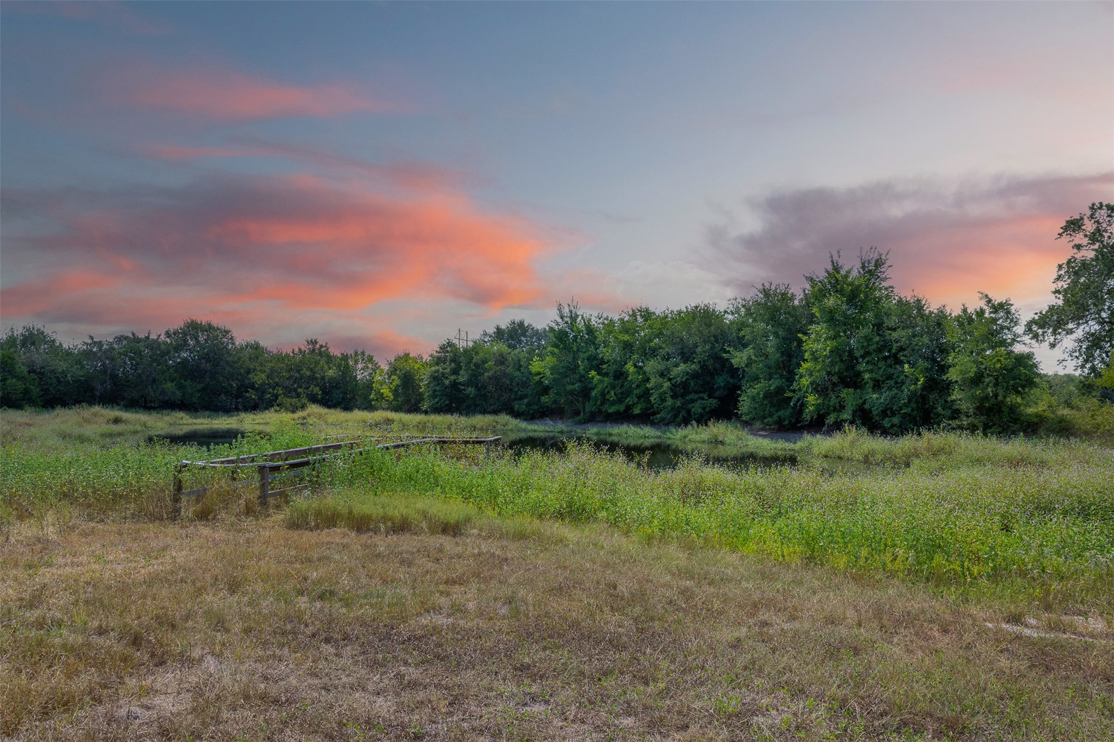 a view of a lake from a yard