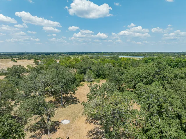 a view of a bunch of trees and houses