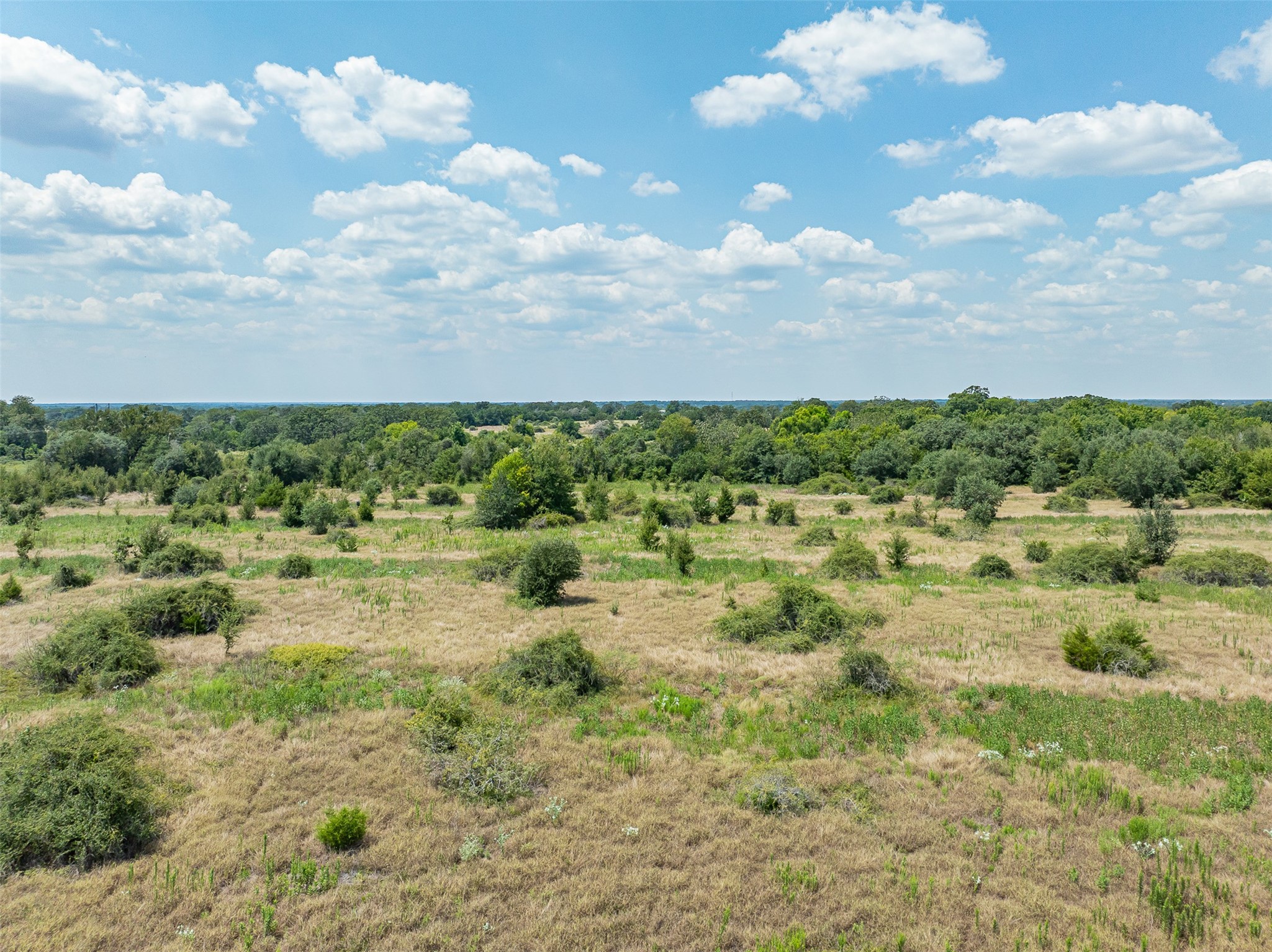 3300 Hills Road Carmine, TX 78932 - Photo 12 of 25 a view of a bunch of trees and houses