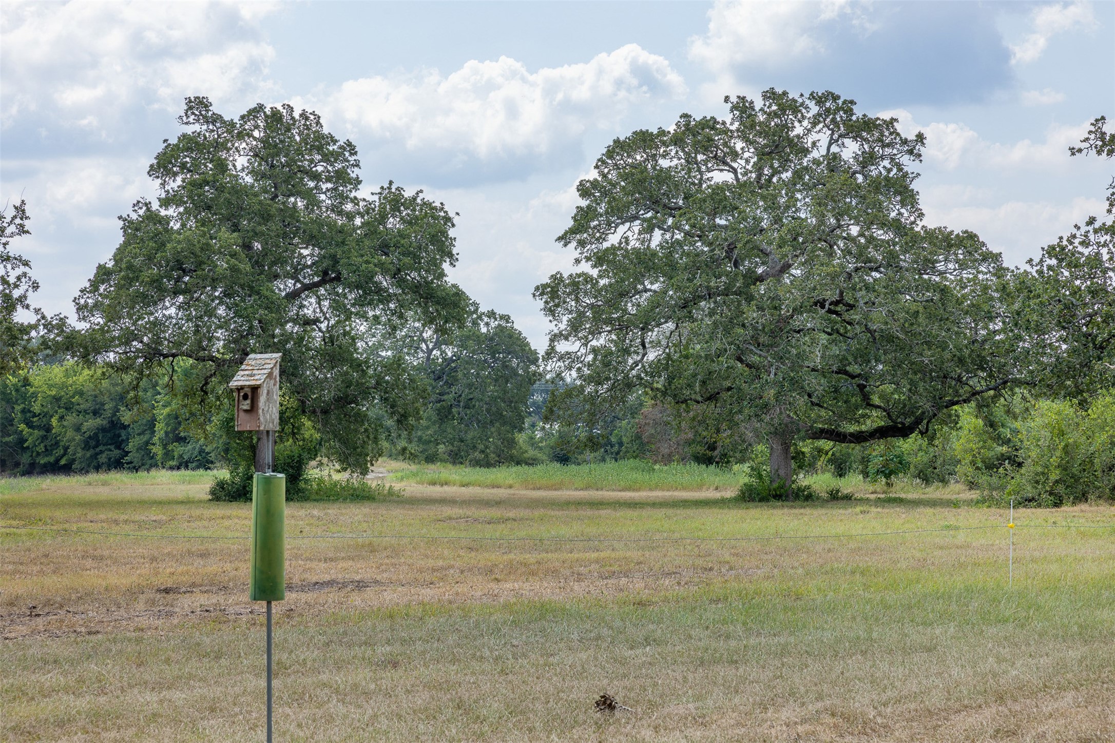 3300 Hills Road Carmine, TX 78932 - Photo 15 of 25 a view of a street