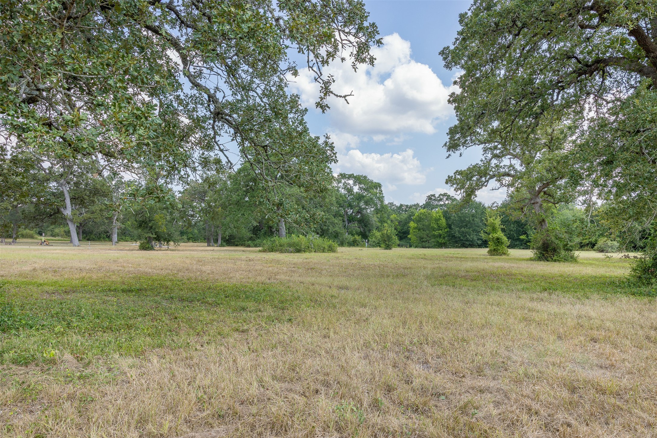 3300 Hills Road Carmine, TX 78932 - Photo 19 of 25 a view of outdoor space and yard