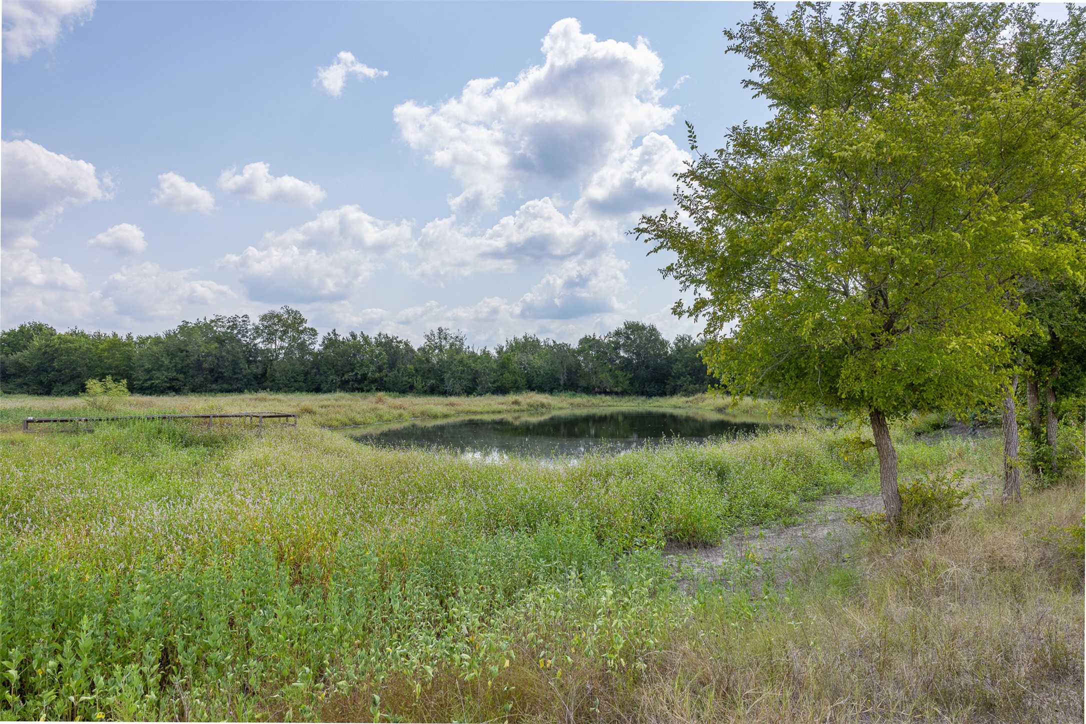 3300 Hills Road Carmine, TX 78932 - Photo 20 of 25 a view of lake with green space