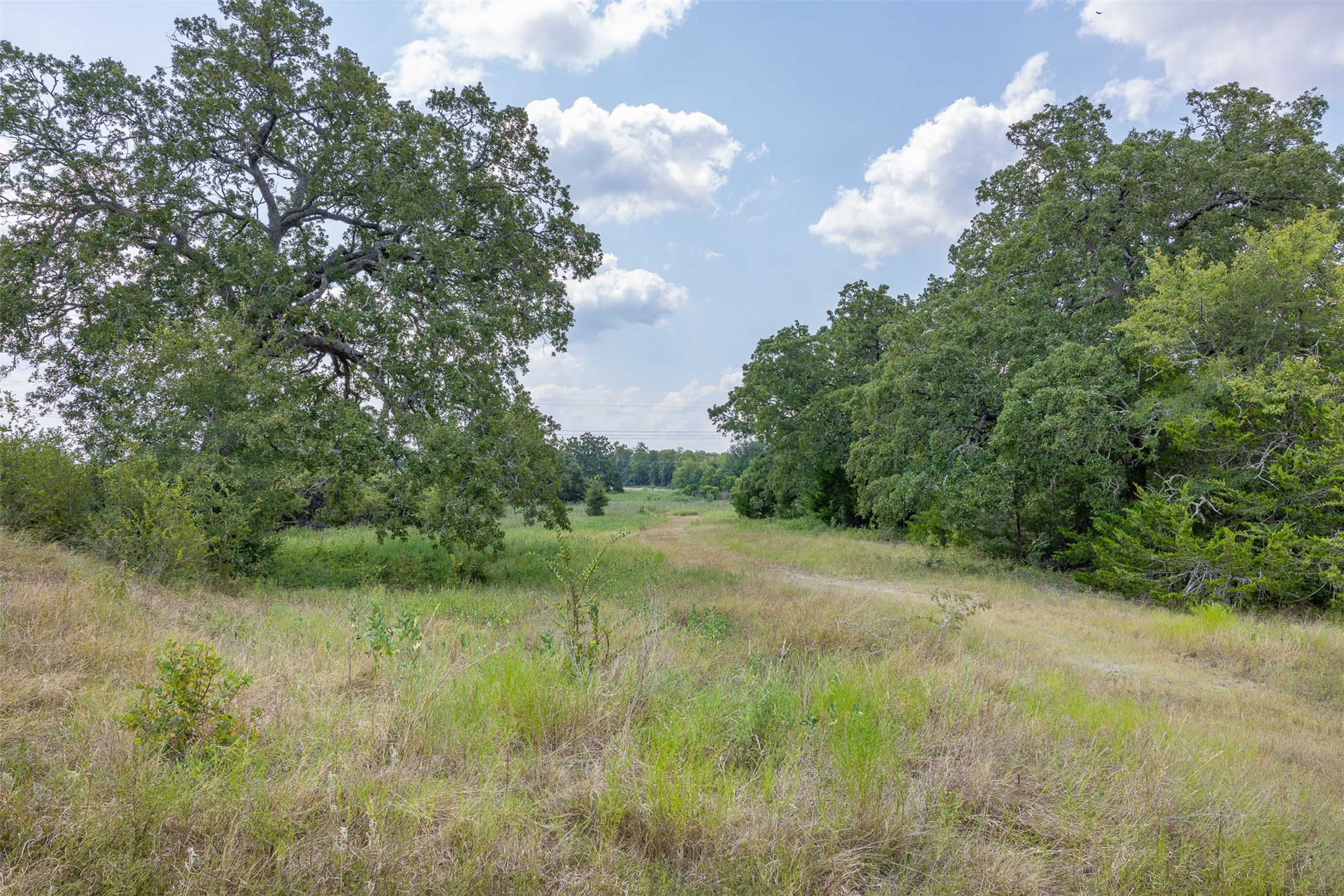 3300 Hills Road Carmine, TX 78932 - Photo 21 of 25 a view of a lush green space