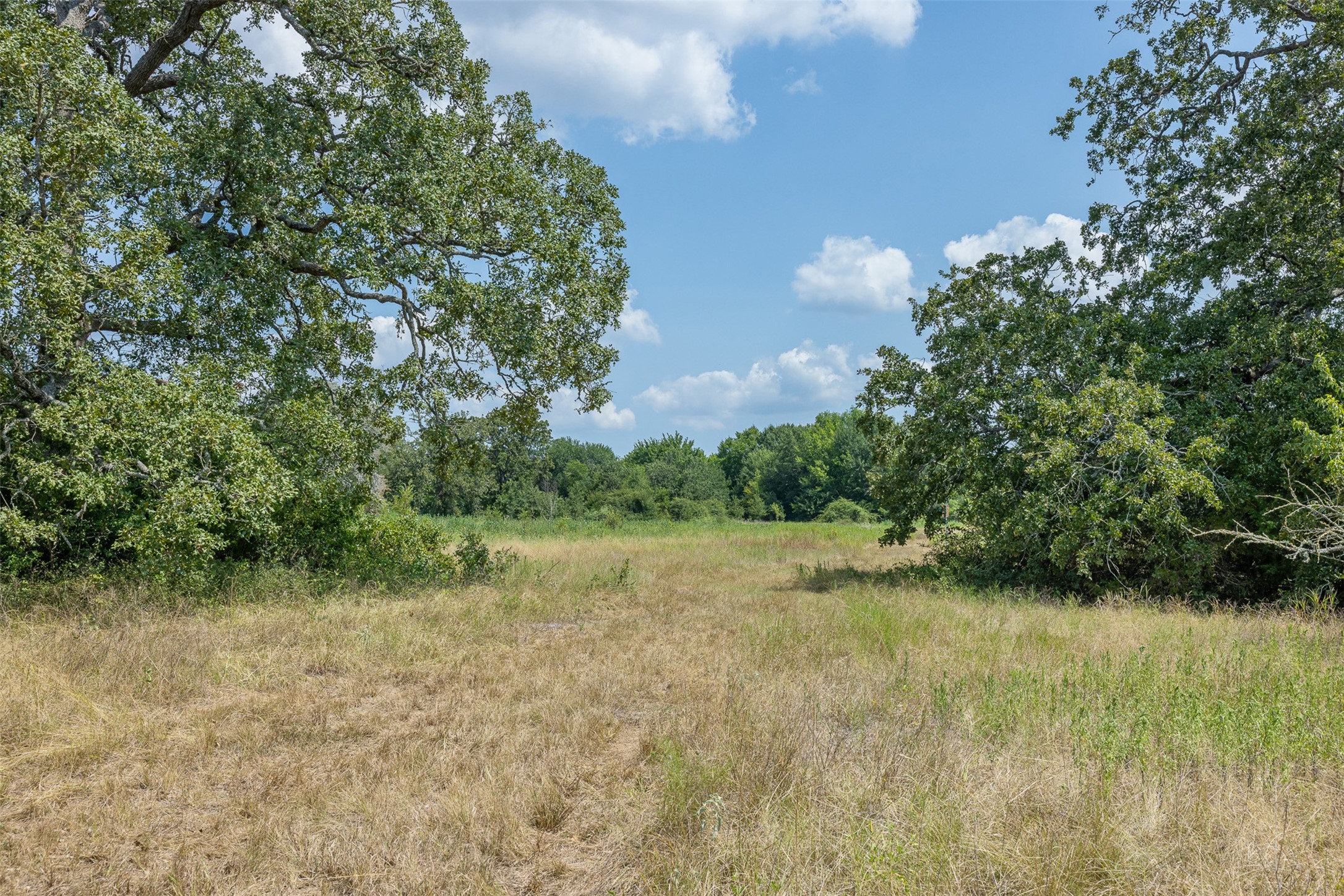 3300 Hills Road Carmine, TX 78932 - Photo 22 of 25 a view of outdoor space and yard
