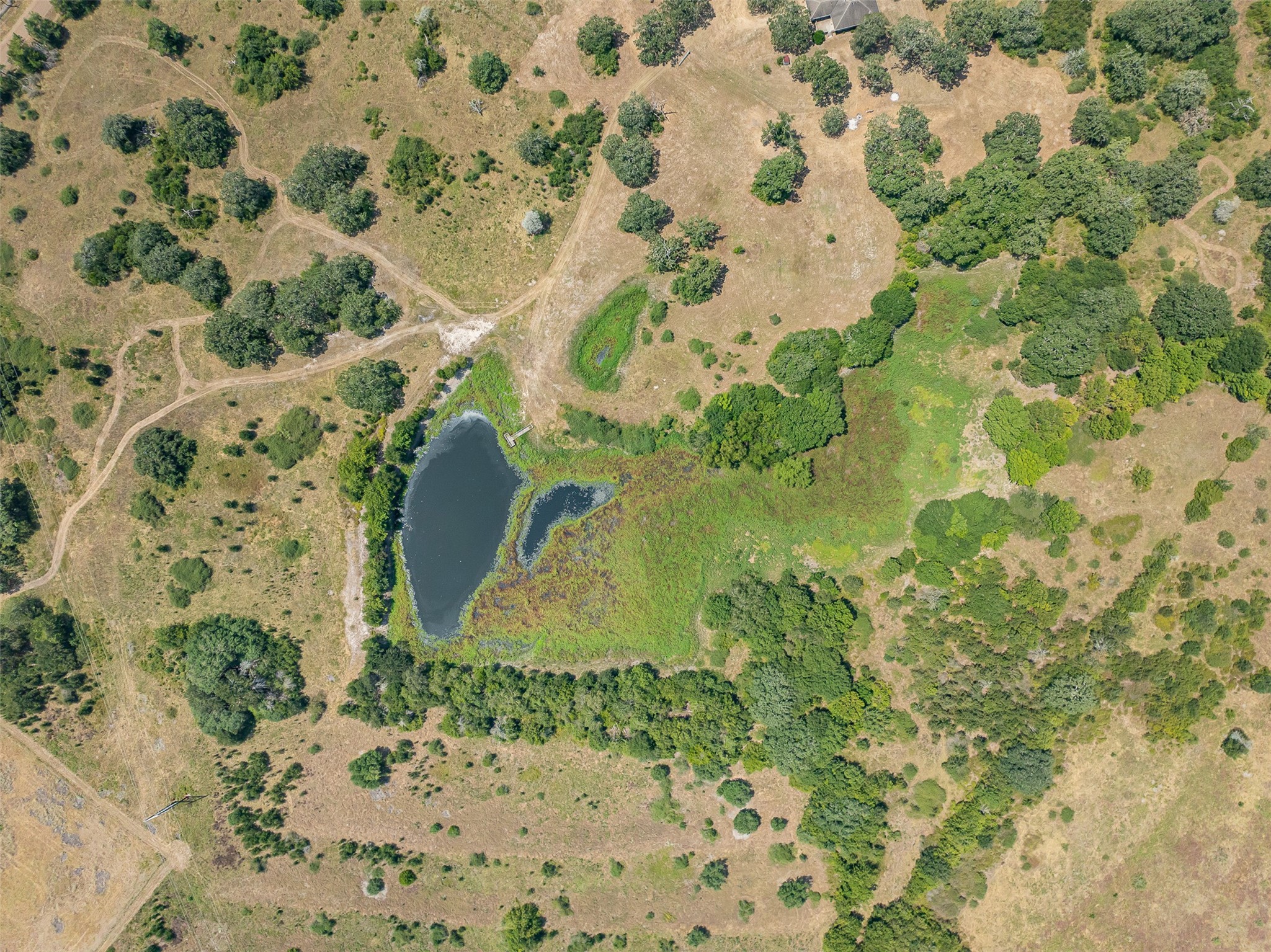 3300 Hills Road Carmine, TX 78932 - Photo 8 of 25 a bathroom with a bathtub