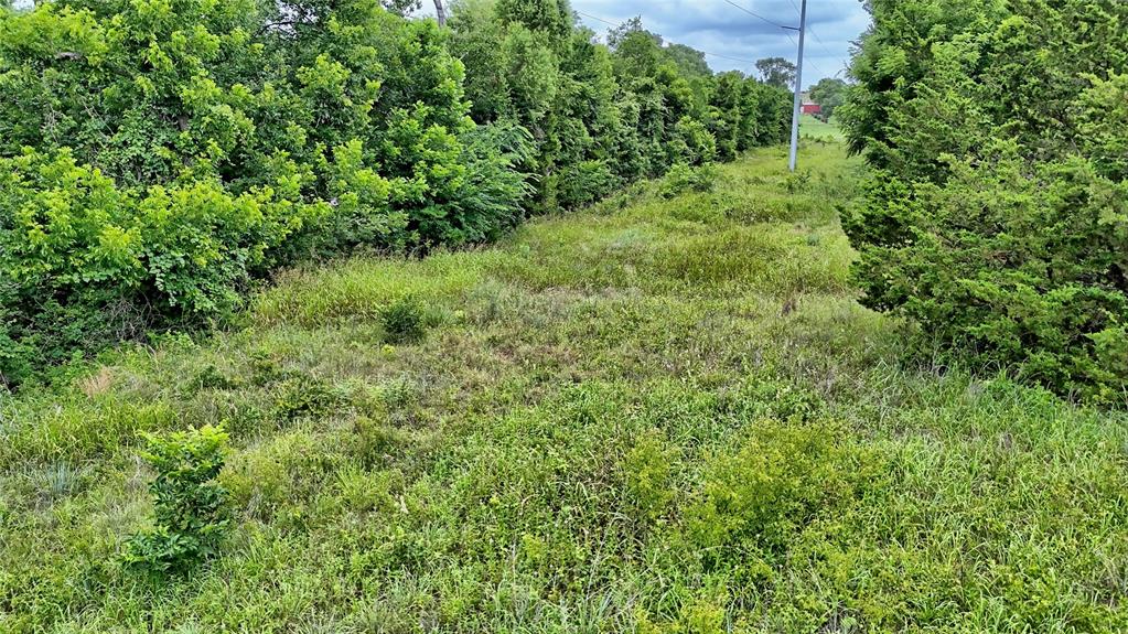 8540 Dixie School Road St. Jo, TX 76265 - Photo 13 of 14